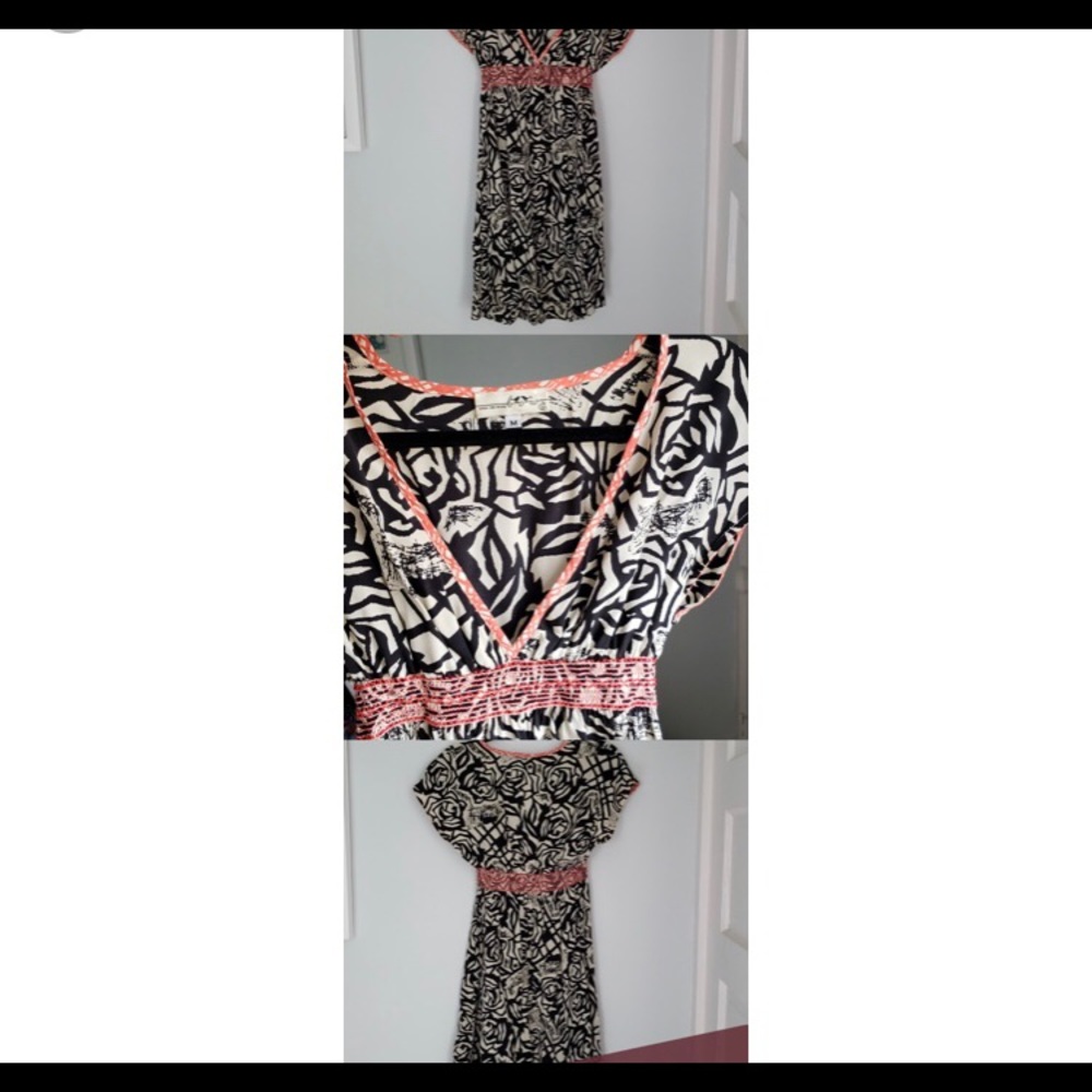 Bird On Wire Deep V 100% Silk Dress